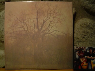 JADE Fly On Strangewings LP&frasl;1970 UK&frasl;British Folk Rock&frasl;Sandy Denny&frasl;Mandy  Morton