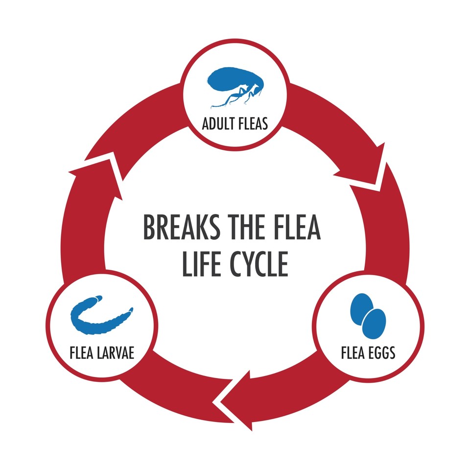 Ultra Flea And Tick Prevention For Dogs Dog and Puppy Treatment and