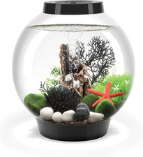 Classic 15 Acrylic 4-Gallon Aquarium with White LED Lights Modern Compact Tank f
