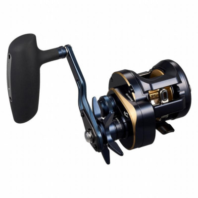 Daiwa 25 SALTIGA 300H Right Handed Saltwater Jigging | eBay