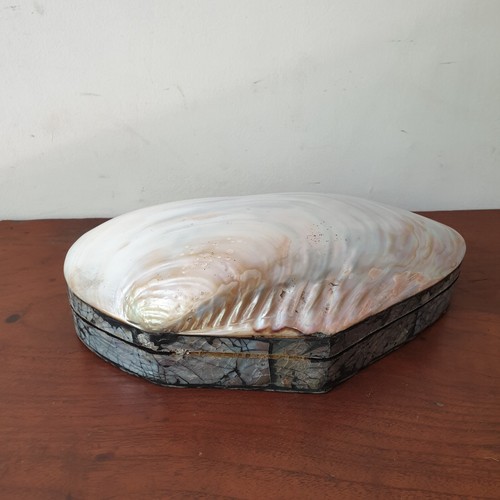 Clam Jewelry Box #2 - Picture 4 of 4