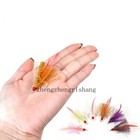 Bild 13 von 20
