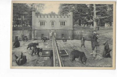 SWITZERLAND BERN BARENGRABEN LES BEARS