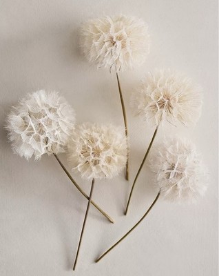 NEW Anthropologie x Terrain Crafted Botanical Dandelion Stems, Set of 5, Lilac