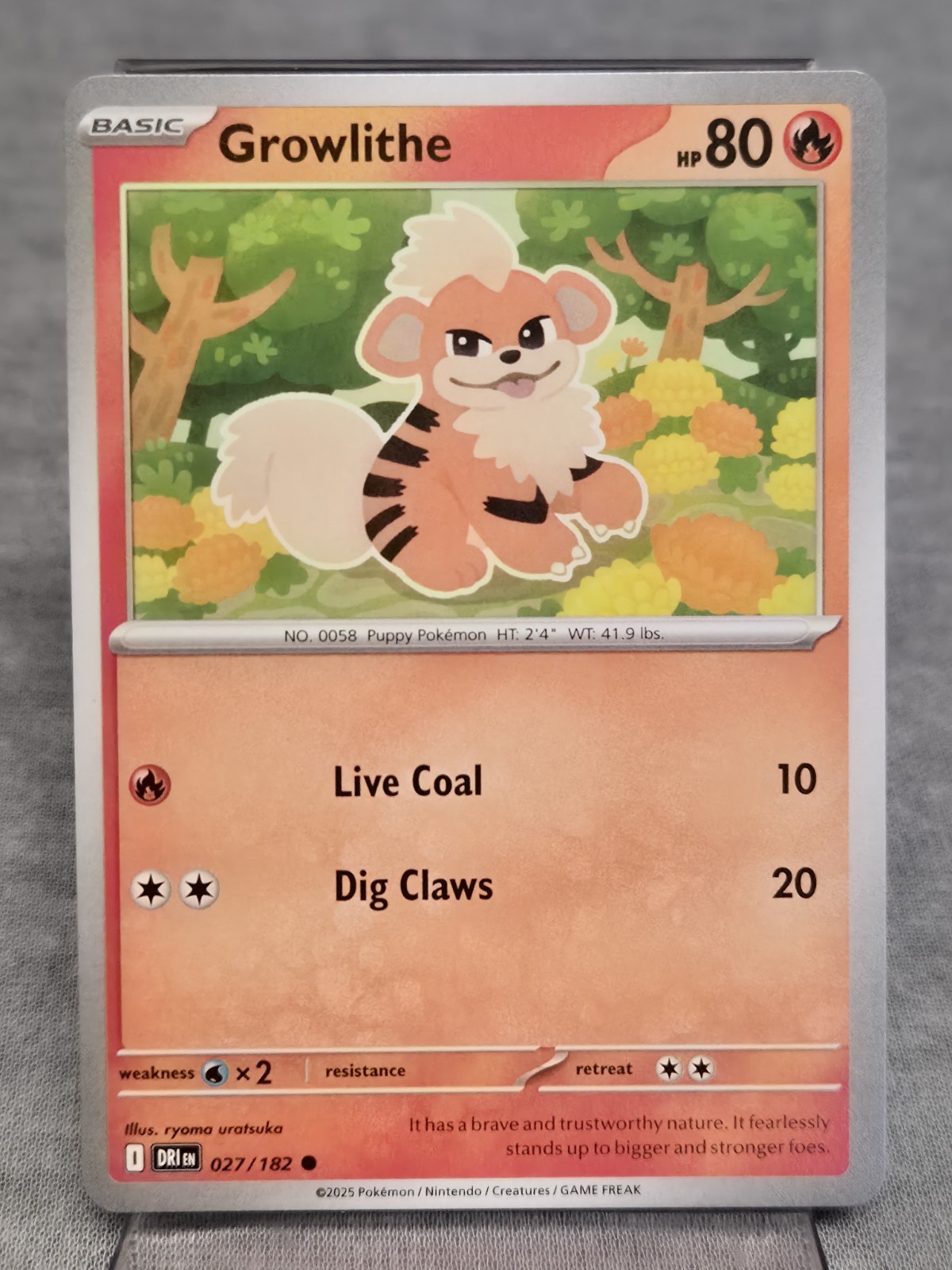 GROWLITHE 27/182 COMMON DESTINED RIVALS POKEMON DRI