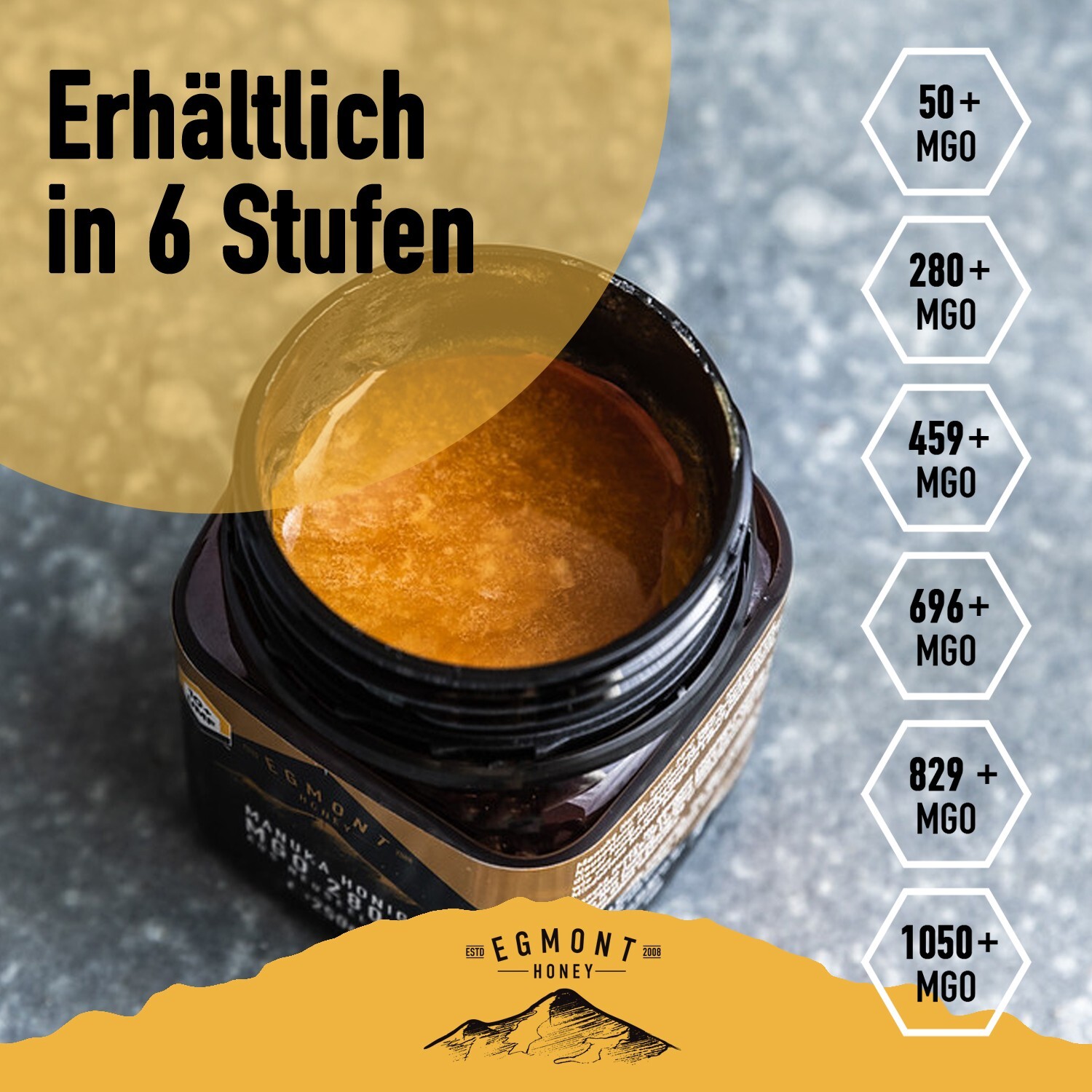 Bild 10 von 11