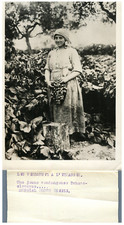 Tchécoslovaquie, une jeune vendangeuse  Vintage silver print Tirage argentique
