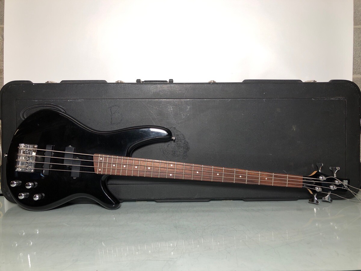 SDGR SOUNDGEAR BY IBANEZ（SDGR - SOUNDGEAR BY IBANEZ SR 300