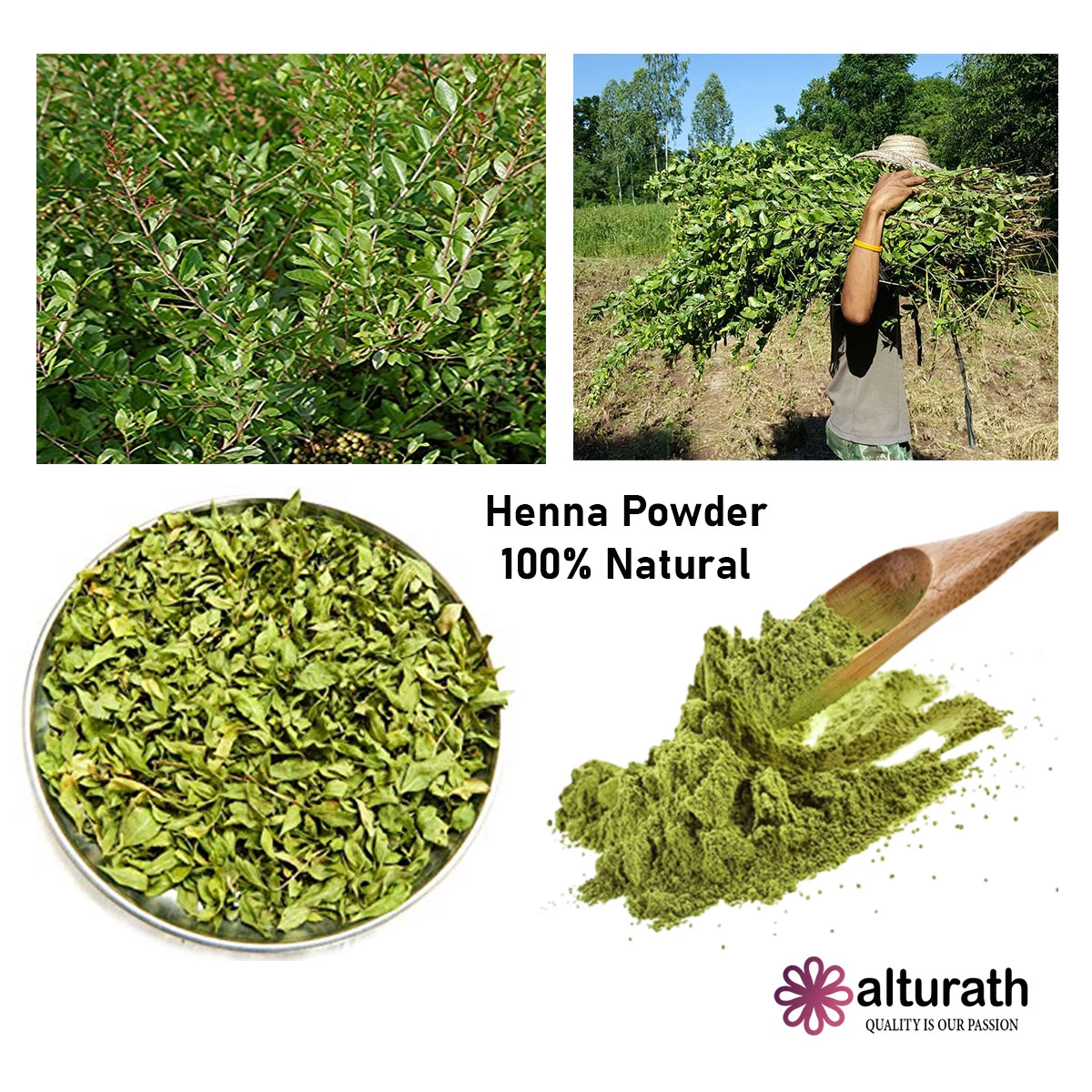 Aggregate more than 144 henna powder for hair growth best ceg.edu.vn