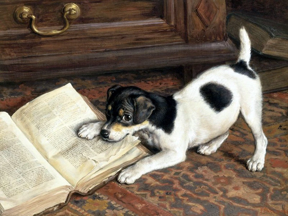 Tile for cheap your dog