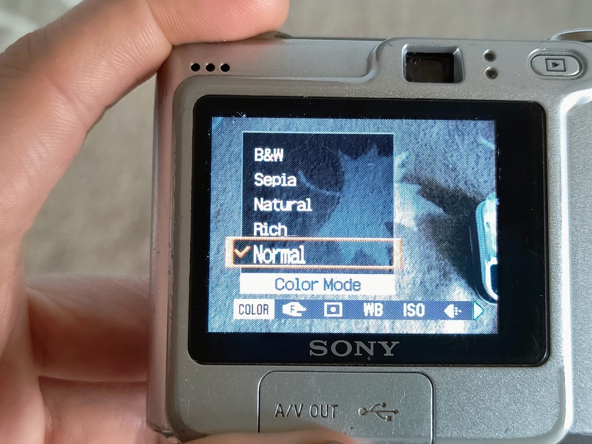 Sony Cyber-Shot DSC-W35 7.2MP Digital Camera - Silver Fully