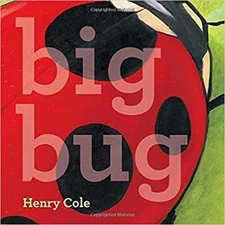 Bog Bug Paperback Henry Cole