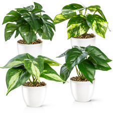 PASCH® Kunstpflanzen wie echt im Keramiktopf - Kunstpflanze, Künstliche Pflanzen