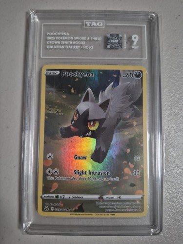 Poochyena graded TAG 9 for sale on eBay