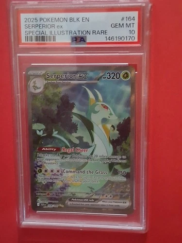 Pokémon TCG Serperior EX 164/086 Black Bolt SIR  English Edition PSA 10