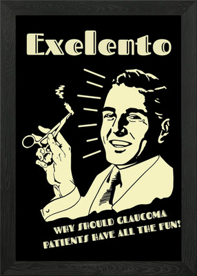 Exelento Framed Wall Art Poster Canvas Print Picture