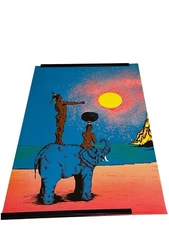 Zinder 1972 Pro Arts Black Light Poster