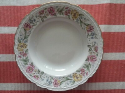 2 Embassy USA Lord Mayfair 8-1/2'' rimmed soup/salad/pasta bowls.