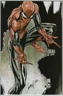 AMAZING SPIDER-MAN 14 E J SCOTT CAMPBELL EXCLUSIVE GWEN STACY 9.6 9.8 MARVEL