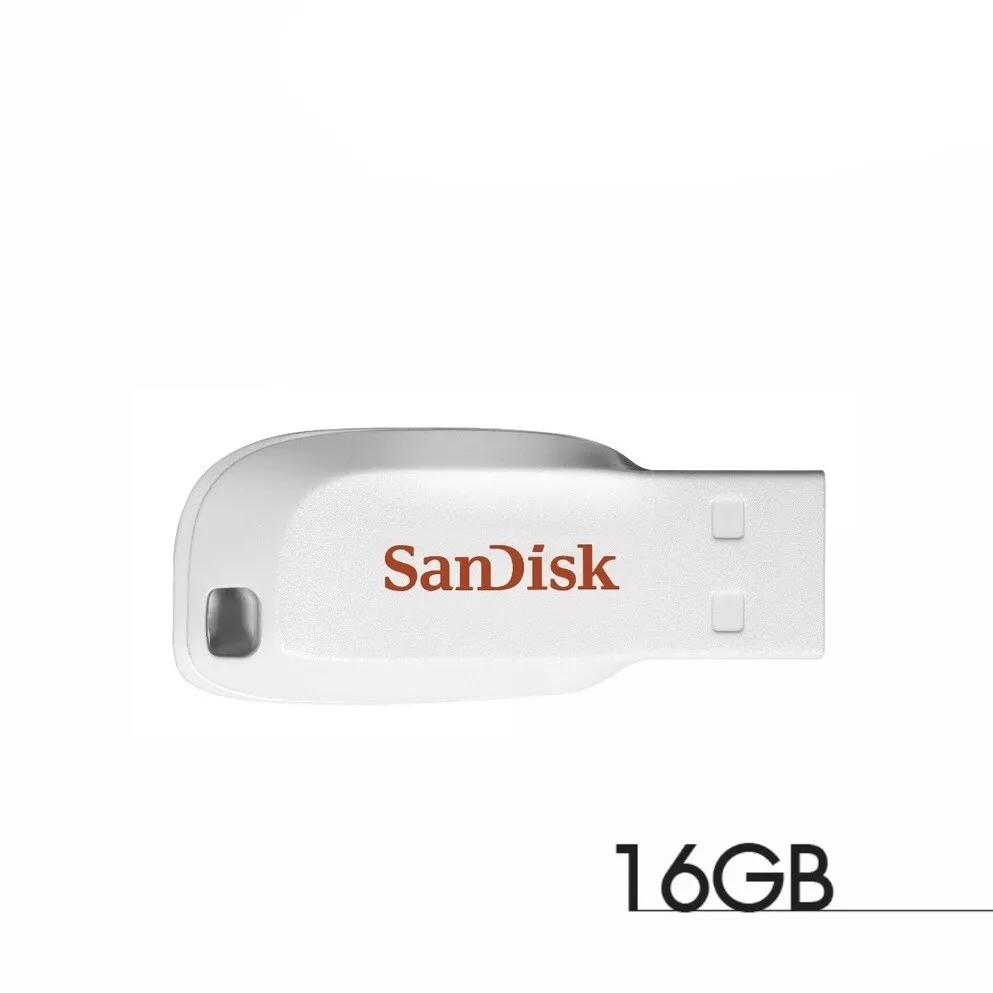 Sandisk Cruzer Flash Drive