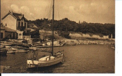 (S-14538) FRANCE - 13 - SAUSSET LES PINS CPSM TARDY ed.