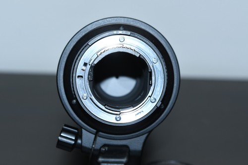 Nikon AF-S Nikkor 300 mm F/4 D IF-ED obiettivo principale - Foto 7 di 7