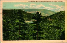 Shenandoah National Park VA Scene From Skyline Drive Postcard used (14791)