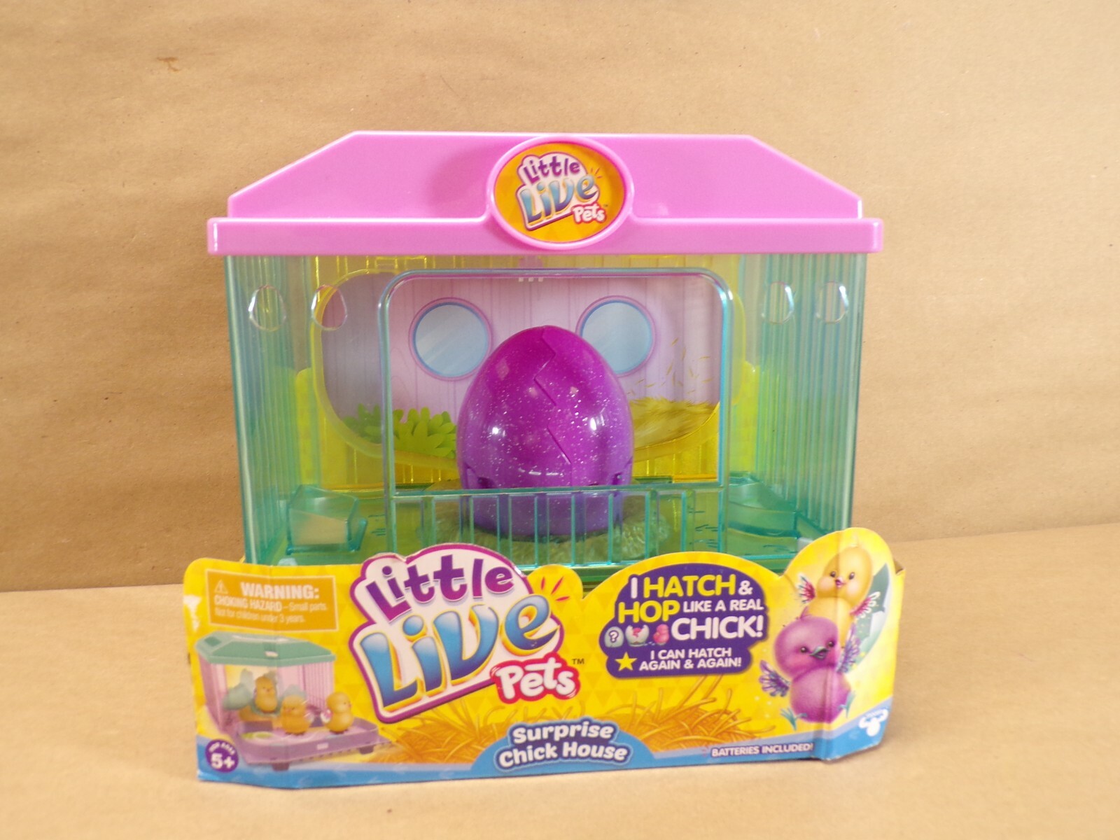 little live pets chick