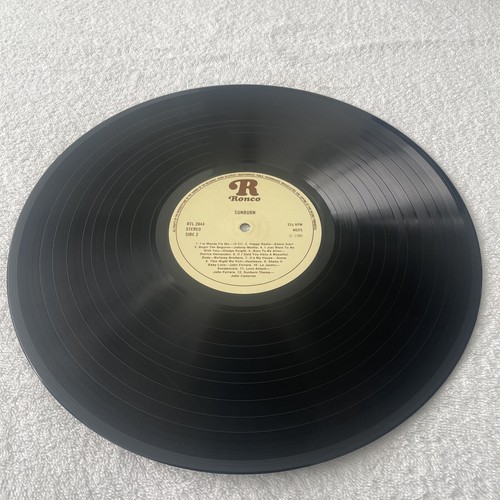 Sunburn - Original Soundtrack - Original Artists - Vinyl LP - Excellent - Picture 4 of 7
