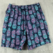 Goodfellow Mens Small Swim Trunk Shorts Blue Pineapple Mesh Lined Board Shorts