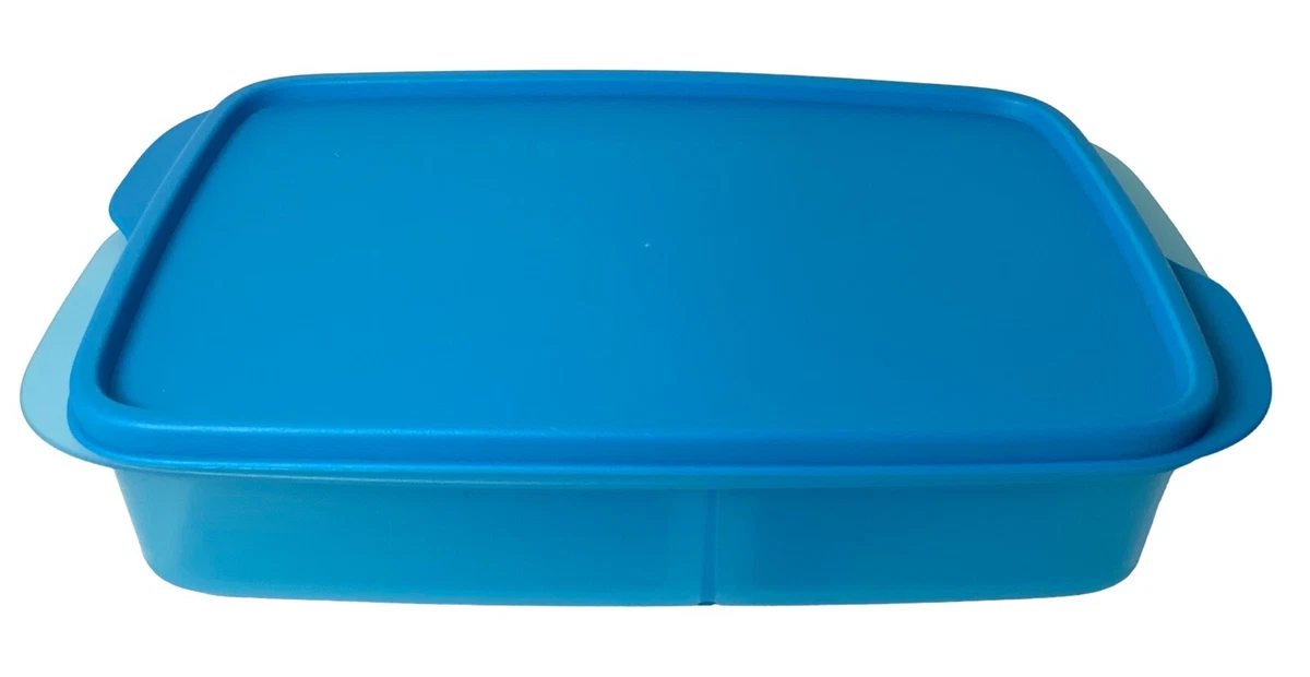 Lunch-It Large Container- US Tupperware (Includes 2-cup/500 ml and two  1-cup/250ml compartments for sandwiches and sides) $14