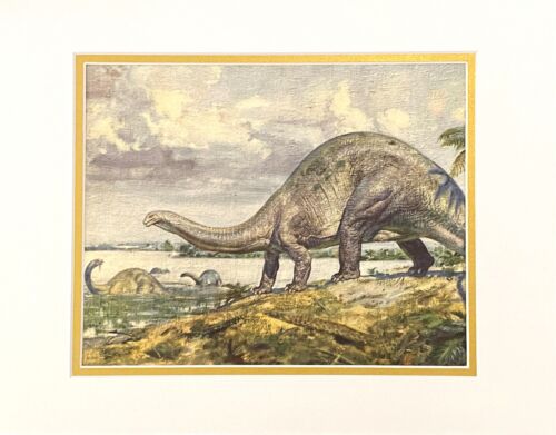 NEUF 11x14" MAT dinosaures préhistoriques BRONTOSAURUS imprimé couleur par Burian 1963 VF - Photo 1 sur 3