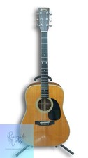 Martin Electro-Acoustic D-28