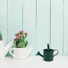  Annaffiatoio decorativo annaffiatoio piccolo bollitore da campeggio bollitore irrigatore