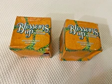 Perfectly Posh Blossoms Up Spring Bombinator Bath Bomb Lot of 2 Sicilian Orange