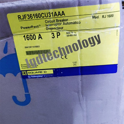 DSQUARED RJ1600 3P RJF36160CU31AAA