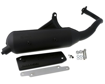 Auspuff MALOSSI Wild Lion für Gilera Storm, Typhoon, P