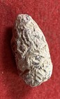 Heavily Chewed “ TEETH MARKS” on a SHARPS BULLET. Dug at BRIDGEPORT ALABAMA — photo 5
