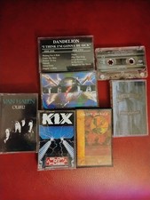 hair metal cassette lot rock