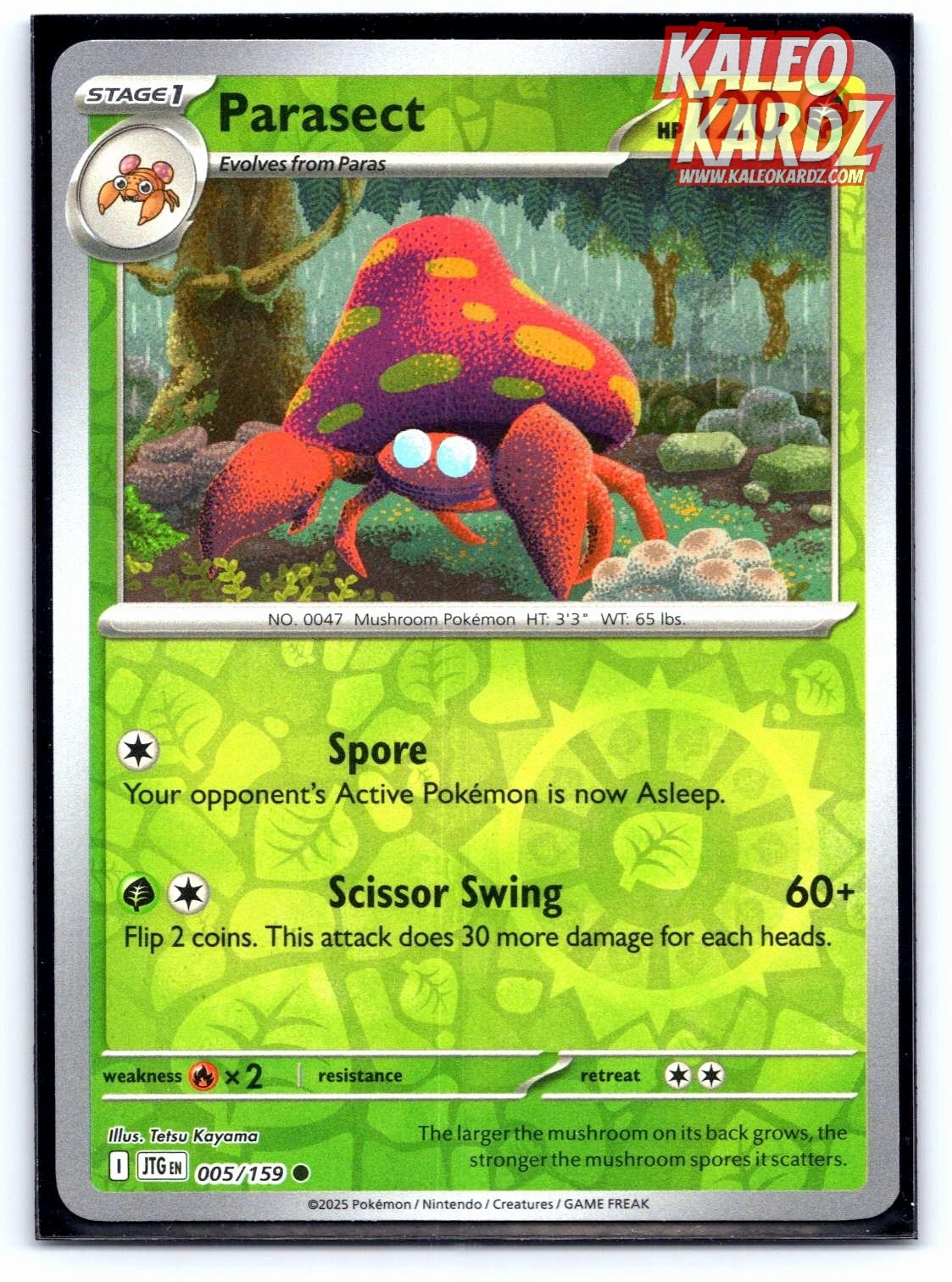 Parasect 005 Common Journey Together Pokemon Reverse Holo NM/M