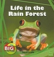 Life in the Rain Forest (The Big Picture: Homes) (First Facts: The Big Pictu...