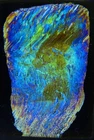 Antique microscope slide. Mineral section. Crocidolite reground by J.S.Smith.