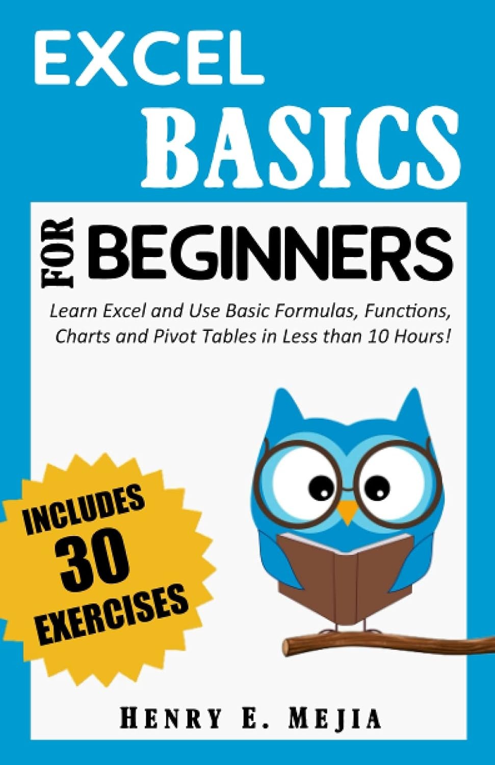 EXCEL BASICS FOR BEGINNERS: Learn Excel and Use Basic Formulas, Functions, Char