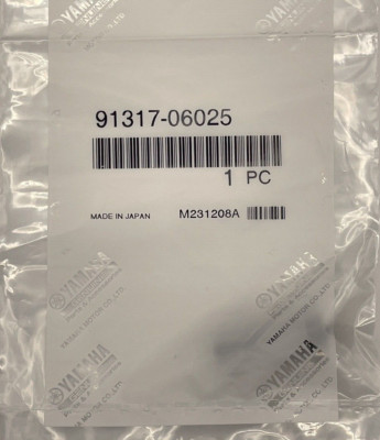 Yamaha OEM Bolt 91317-06025-00 Hexagon bolt for tensioner | eBay