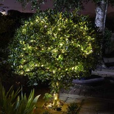 Image of Smart Solar 50 Firefly String Lights