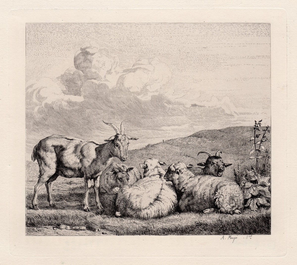Lovely KAREL DUJARDIN 1800s Etching 