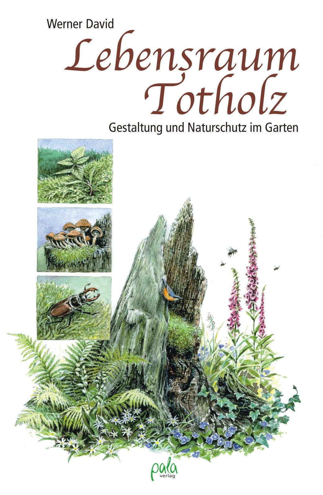 Pala- Verlag Gmbh Lebensraum Totholz - Bild 3