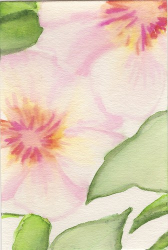 "Peachy Coral Repeat 2/4" hand-painted, signed OOAK original watercolor ACEO