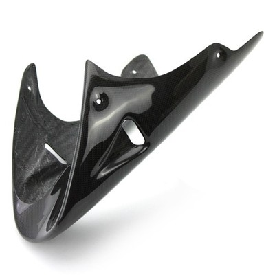 Carbon Bugspoiler für Ducati Monster 695 800 900 916 996 998 1000 S2 S4R S4RS