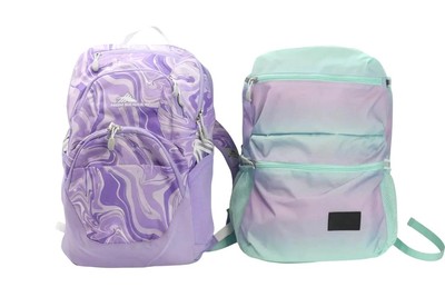 Lot of 2 High Sierra Everclass & Swoop SG Backpack - Free Shipping